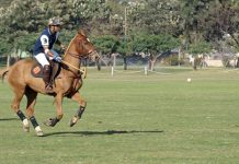 India’s 1st official Polo League announced; to be scheduled from March 2017 Polo Match