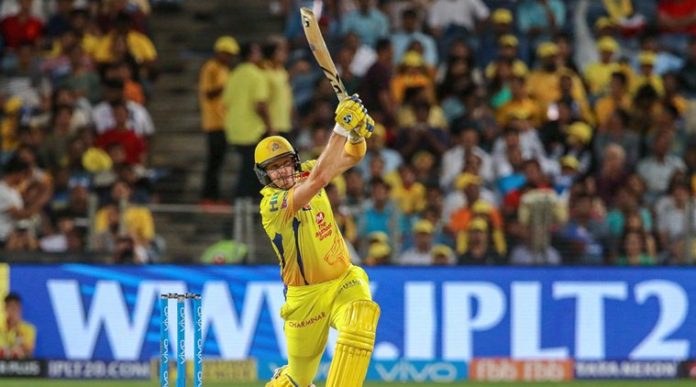 shane watson 7591 shane watson 7591