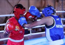 5th Elite Women’s National Boxing Championships: Haryana’s Jaismine stuns Simranjit to enter finals Jasmine Boxing