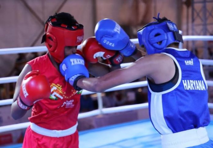 Jasmine Boxing Jasmine Boxing